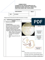 Lembar Kerja Praktikum Parasitologi Nematoda Jaringan Blok 2D