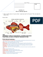 Activity 2.1 How To Identofy Species: Fish Internal Anatomy
