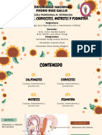 Salpingitis, Cervicitis, Metritis y Piometra - Exposición Grupo 10