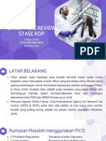 Literature Review Stase KDP