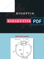 Biooptik Bioakustik