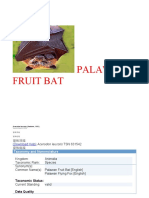 Palawan Fruit Bat Task 2