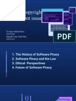 Software Copyright Infringement Issue
