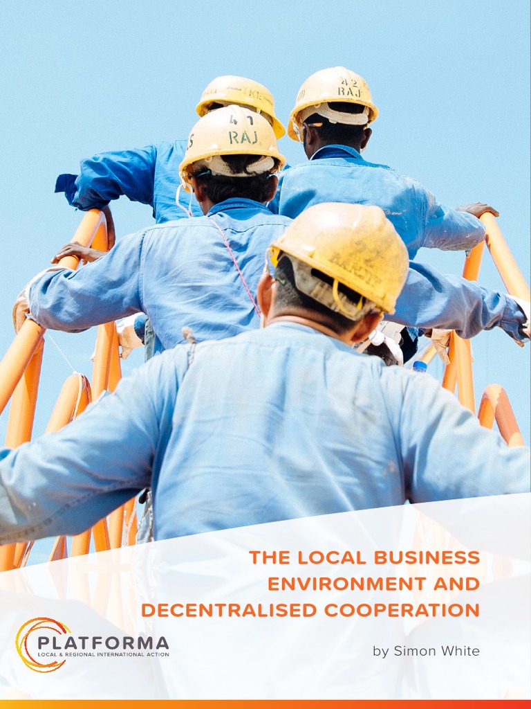 Local Business Environment Reform | PDF | Economic Growth | Market ...