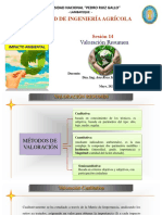 Clase 14 Impacto Ambiental - Valoración Resumen