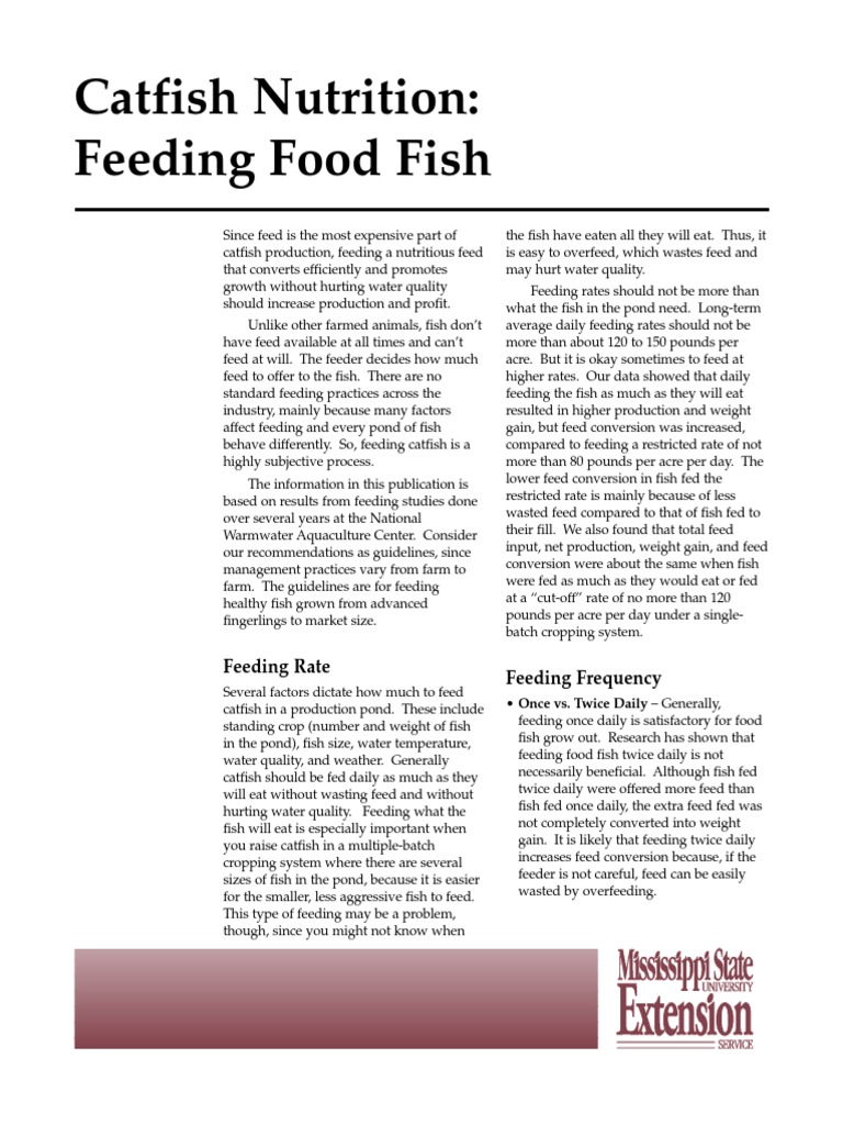Catfish Nutrition Feeding Food Fish PDF Fish Water