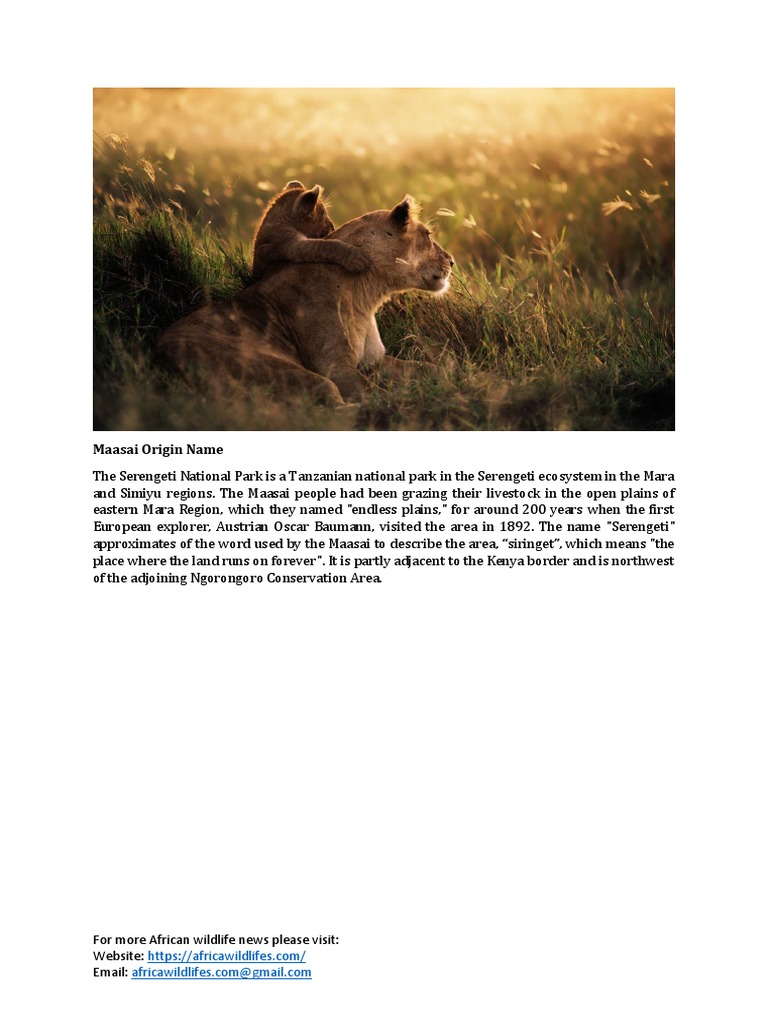 Serengeti National Park | PDF | Natural Environment