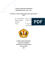 Kelompok 5 Amilase PDF Free