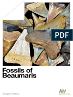 Beaumaris Fossil Book Museum Victoria Final 2015