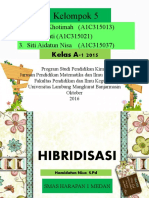 HIBRIDISASI