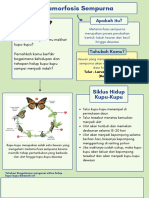 Lembar Kerja Biologi Fotosintesis Bergaris Hijau Dan Biru