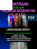 Promkes Dan Kemitraan