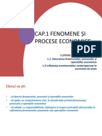 Cap.1 Fenomene Si Procese Economice
