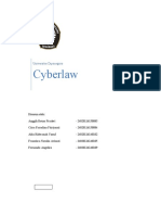 Cyber Law