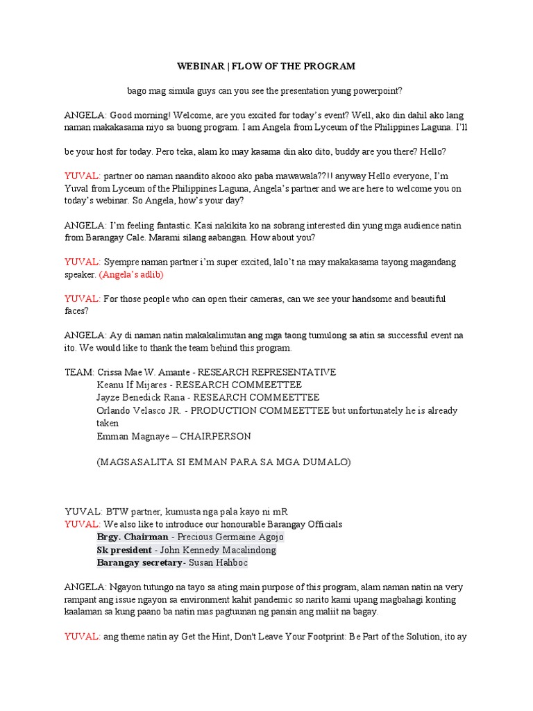 Script Flow of The Program | PDF