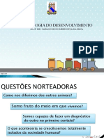 desenvolvimento-pdf