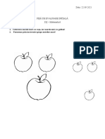 Fișă inițială_Nivel II (grupa mare)_matematică