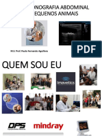 Ultrassonografia abdominal em pequenos animais