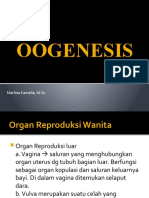 Ii. Oogenesis