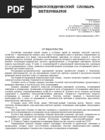 Klinicheskaya Terminologiya | PDF