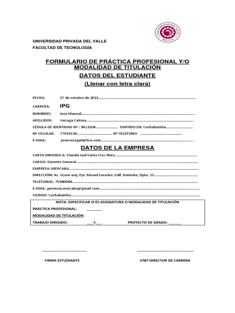 Formulario Práctica Profesional IPG | PDF