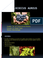Staphylococcus Aureus