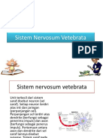 Sistem Nervosum - Rev