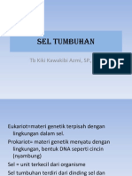 Sel Tumbuhan