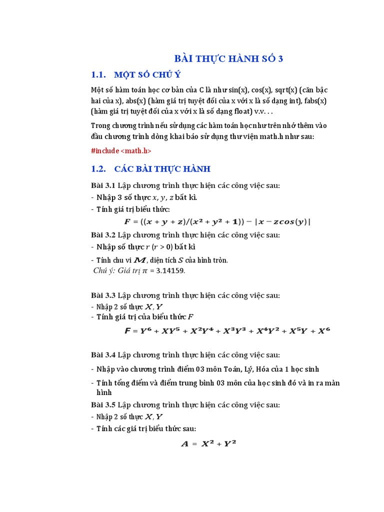 Bai Thuc Hanh So 3 | PDF