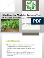 Klasifikasi Dan Morfologi Tanaman Talas (Colocasia Esculenta