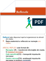 0 Reflexele