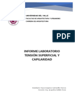 Informe Laboratorio Tensión Superficial y Capilaridad