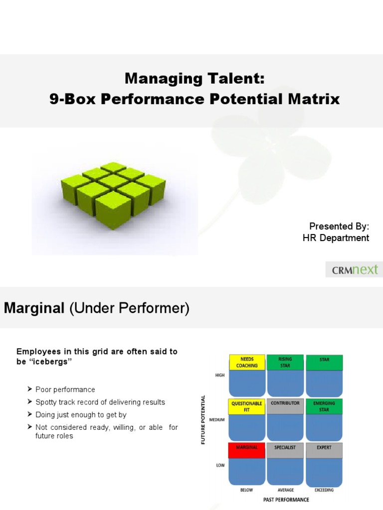 9-Box Talent Assessment Overview | PDF | Mentorship | Expert