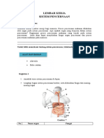 LK Up 5 (Sistem Pencernaan Manusia)