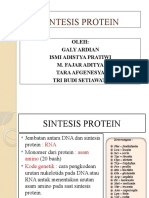 Sintesis Protein