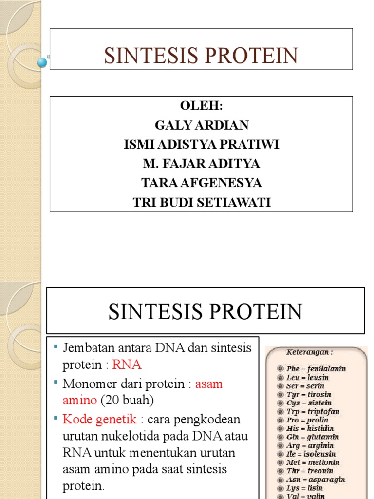 Proses Sintesis Protein dan Tahapannya | PDF | Sains & Matematika