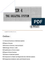 Chapter 4 Skeletal System