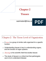 CH 2) Tissue Level of Organization