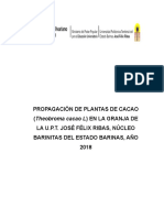 Propagación de Plantas de Cacao, Granja UPTJFR PA 2017-2018