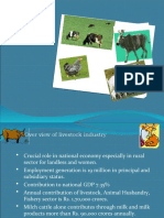 Livestock INDUSTRY in India