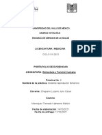 Reporte de Práctica 8 Estructura y Función Humana