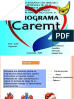 Presentación 1 Carem