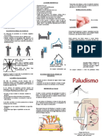 Triptico Paludismo PDF