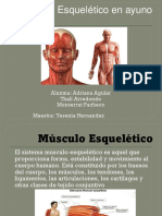Musculo Esqueletico