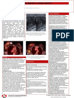 Choriocarcinoma of Breast: A Rare Entity: Discussion