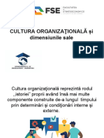 Cultura_organizationala-dimensiuni