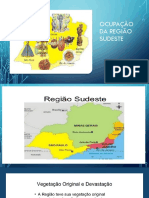 Ocupação Da Região Sudeste