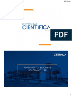 Semana 7 - Sesión 13 - Fundamentos Básicos de BC