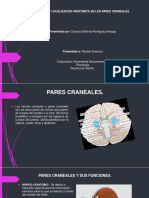 Función y Localización Anatómica de Los Pares Craneales