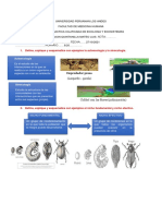 UPla-Ecologia y Ecosistema Practica 1